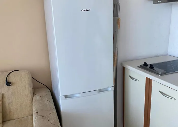 голямо и просторно студио Apartmán